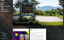Flying Goose website preview